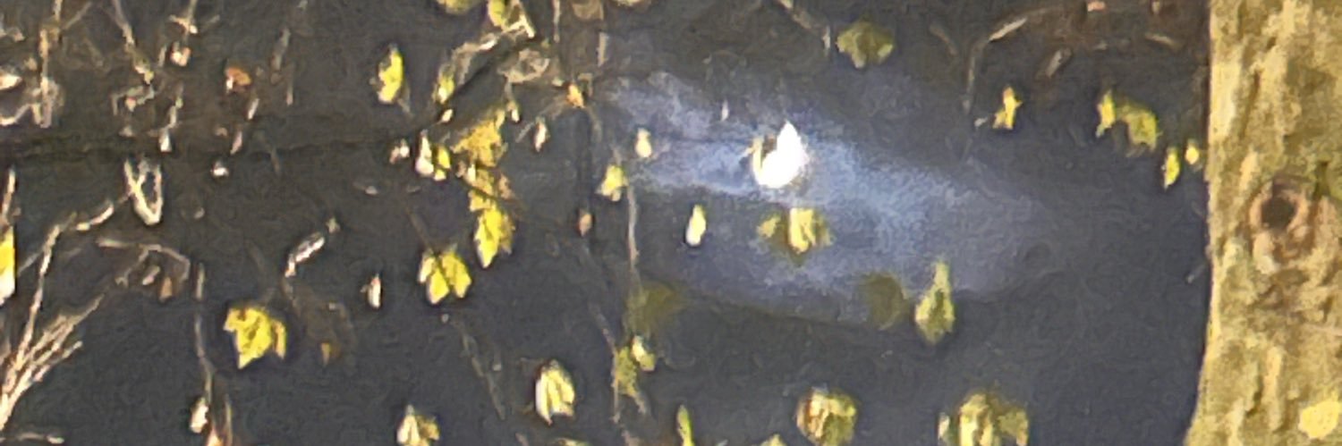 Анастасия banner