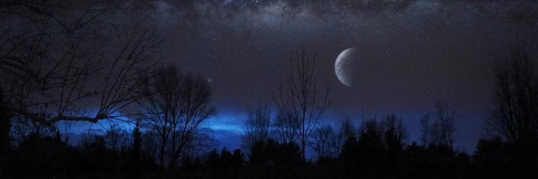 Nicknorris369's profile banner image
