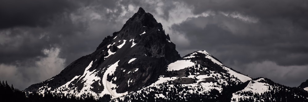 Audra Montenegro banner