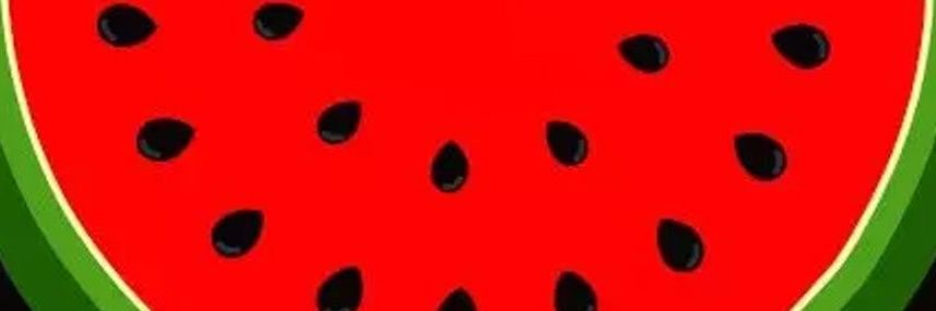 vottermelon's profile banner image