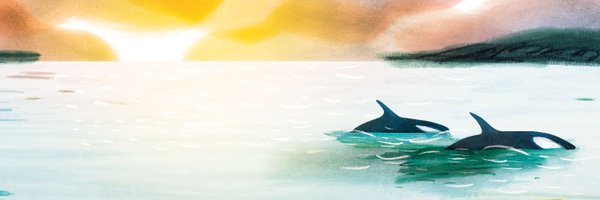 joseebis Profile Banner