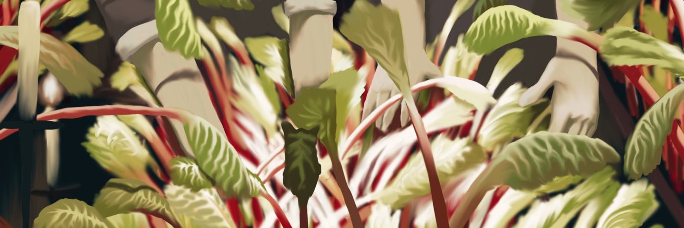 dev's banner