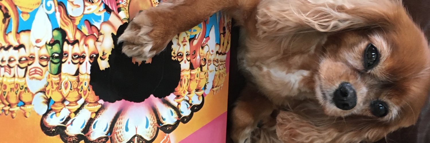 Joe Bailey, Jr. banner