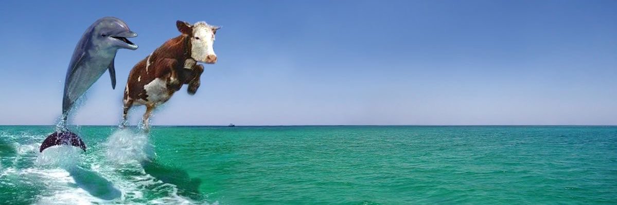 sara waiting 4 #FRANCHAELA banner