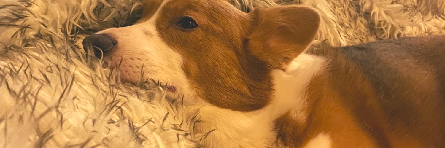gary limit exceeded banner