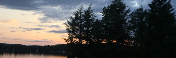 vekven Profile Banner