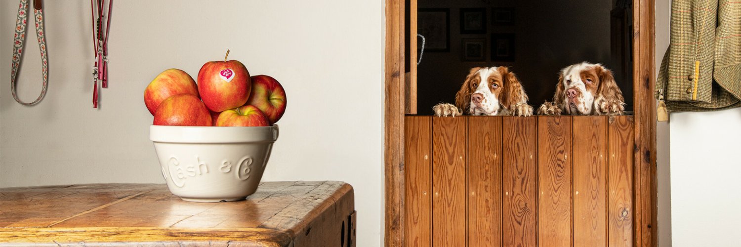 Pink Lady® Apples banner