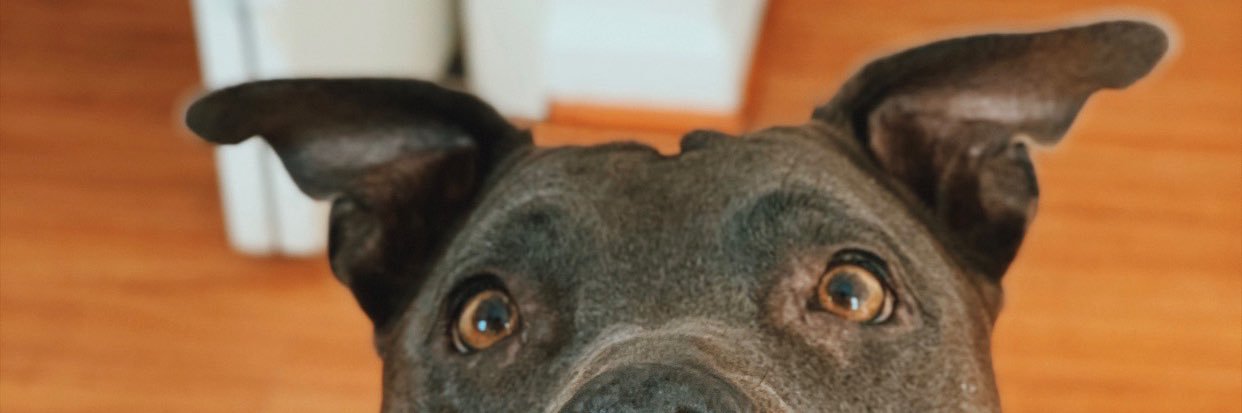 lifeofMikeV's profile banner image
