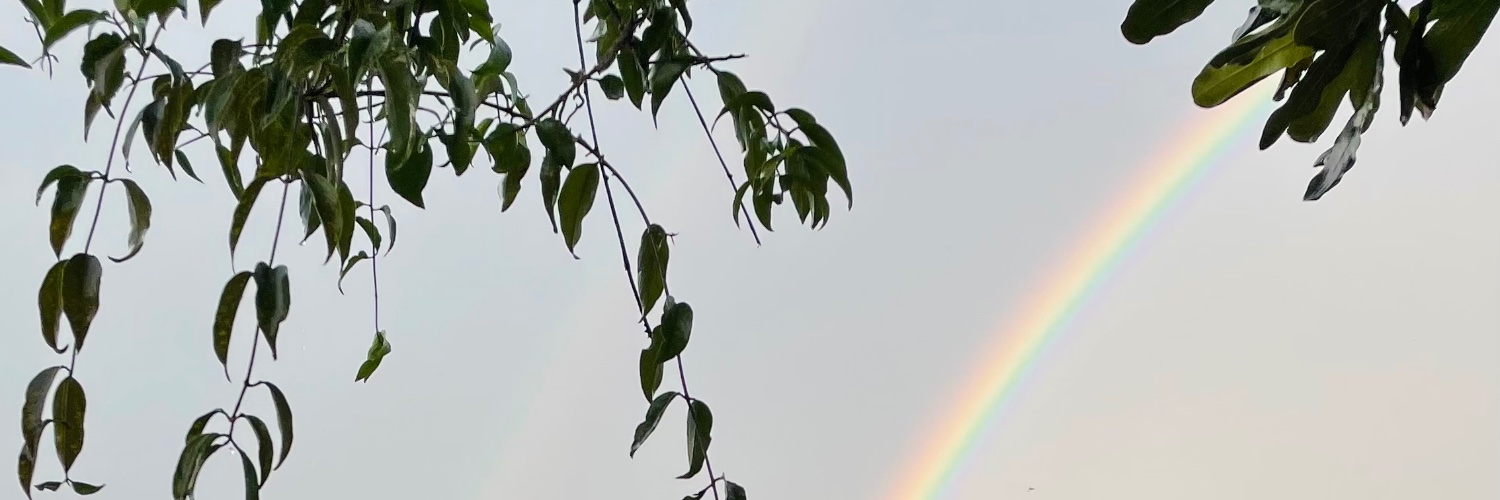 cumékié /•᷅‎‎•᷄\੭ banner