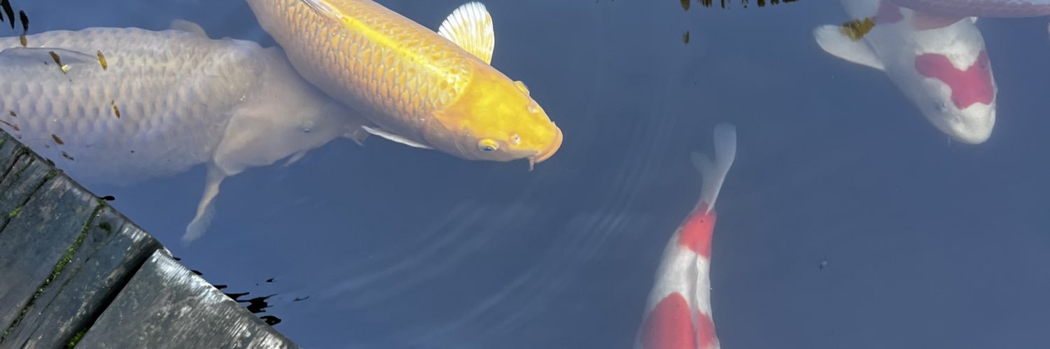 JustxJosh14's profile banner image