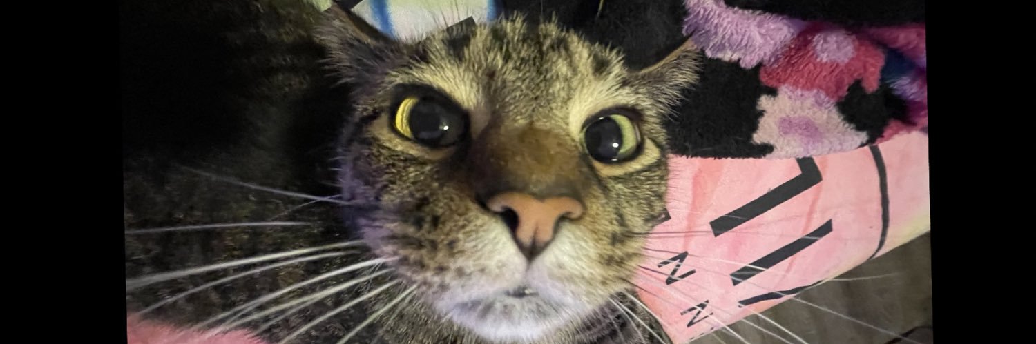 witchyjeri's profile banner image