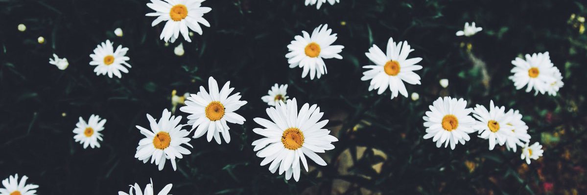 mickeymosu's profile banner image