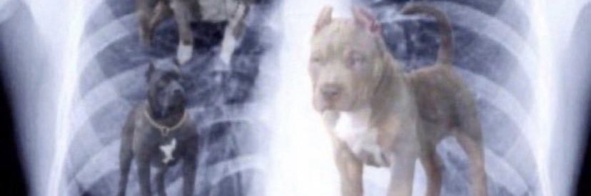 Rhaymand Blue banner