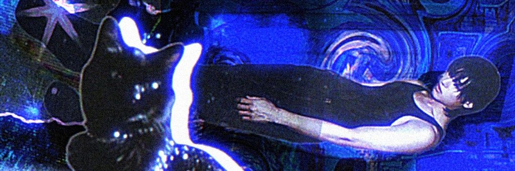 вороновьи будни 🐦‍⬛ banner