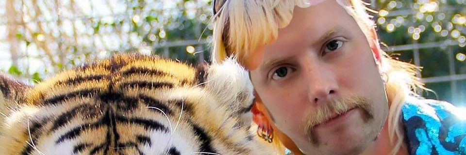 Space_Cat189's profile banner image