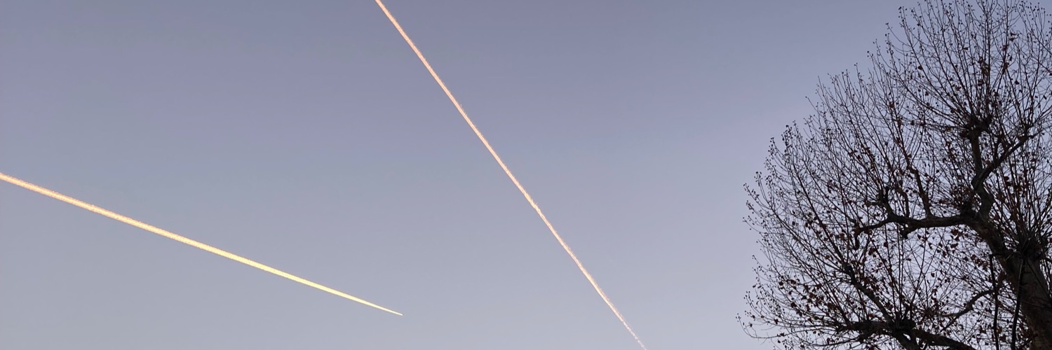 konsulampulle's profile banner image