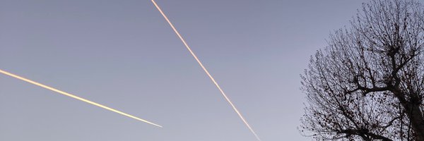 konsulampulle Profile Banner