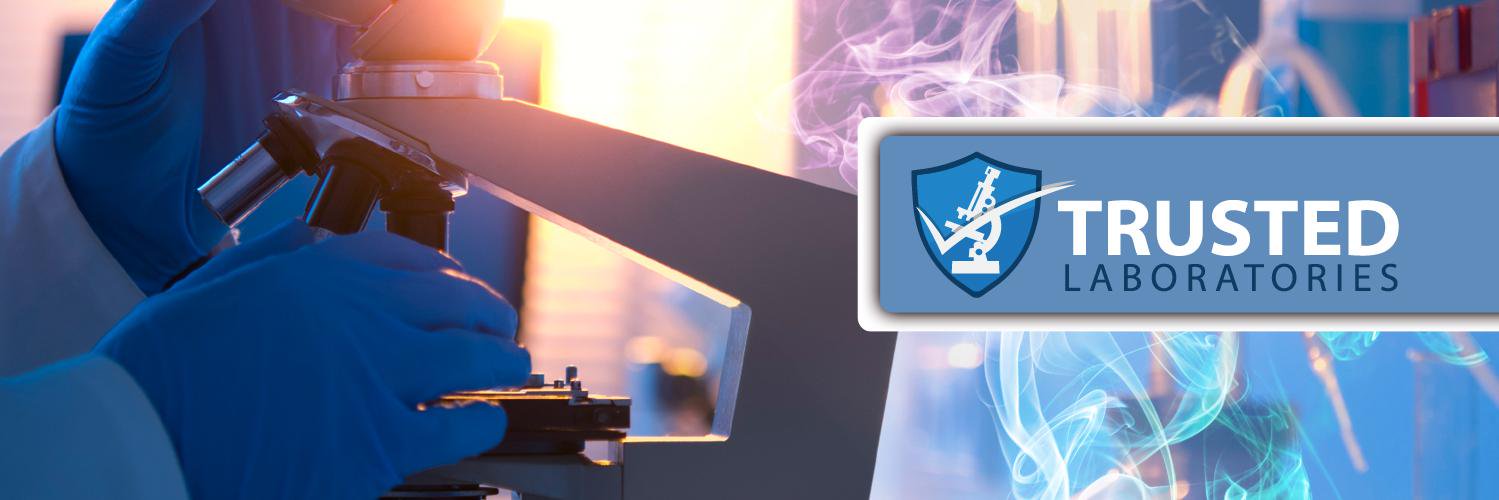 MoldBacteria's profile banner image