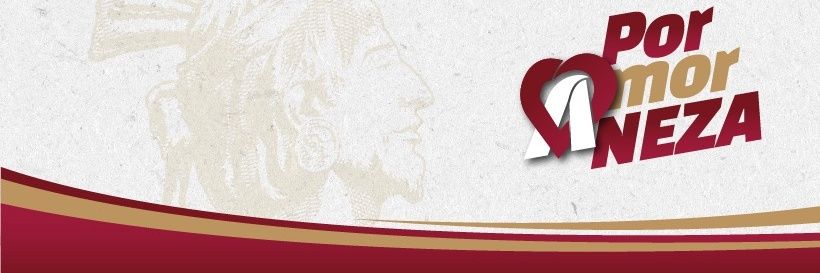 Instituto De La Mujer Neza banner