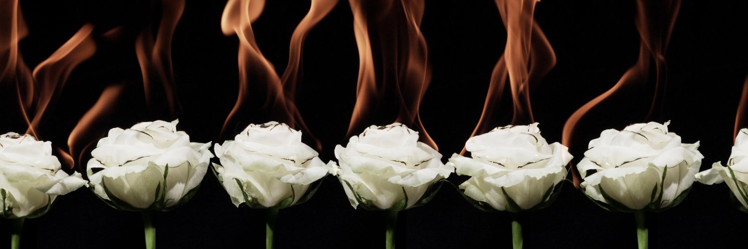 m̶͍̺̈͝ŕ̴͇͔ca̴̛͎͊ptà̵͠ͅin.jp̸̆g̵ banner