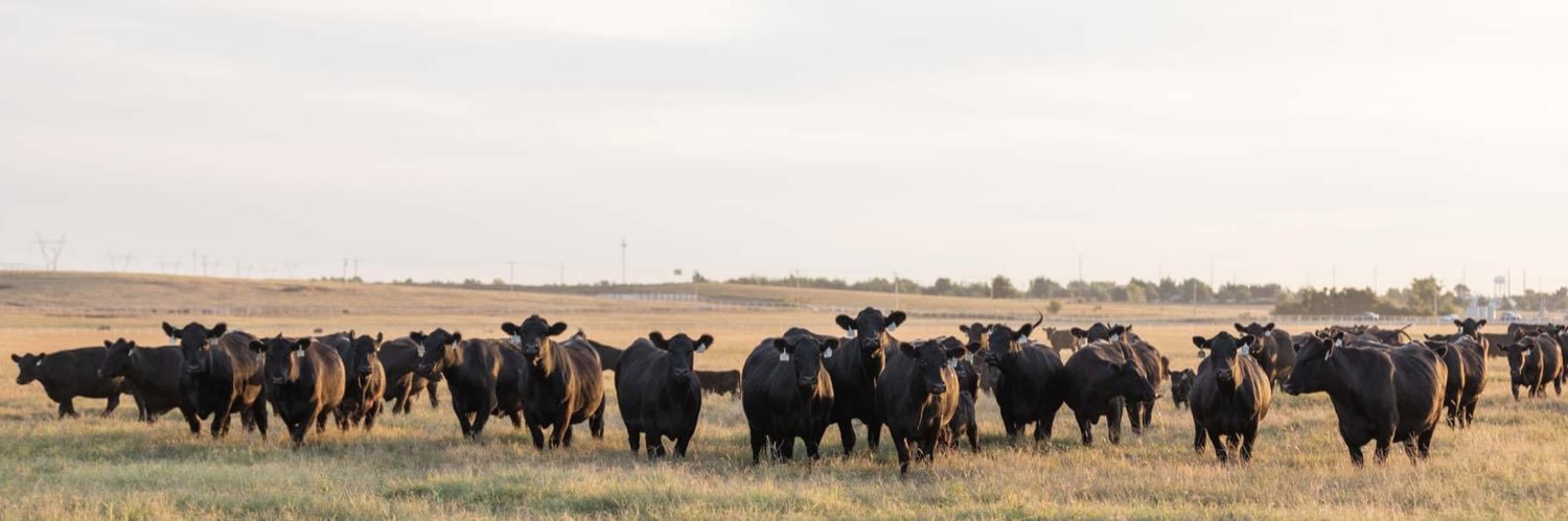 American Angus Association banner