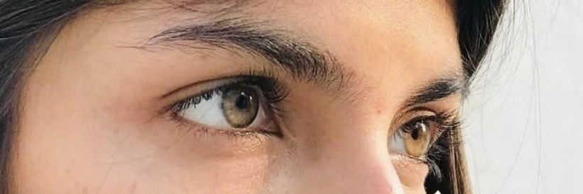 🍕 banner