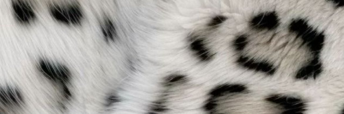 Tyhiri ⭐️ banner