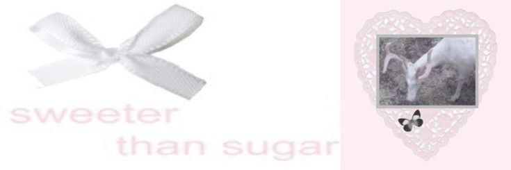 Mintje banner