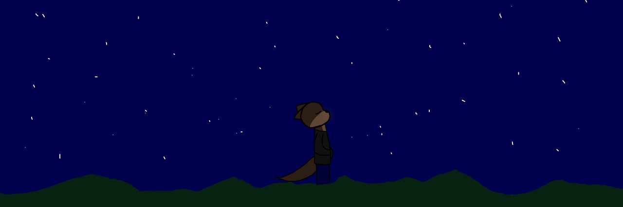 RykOtter's profile banner image