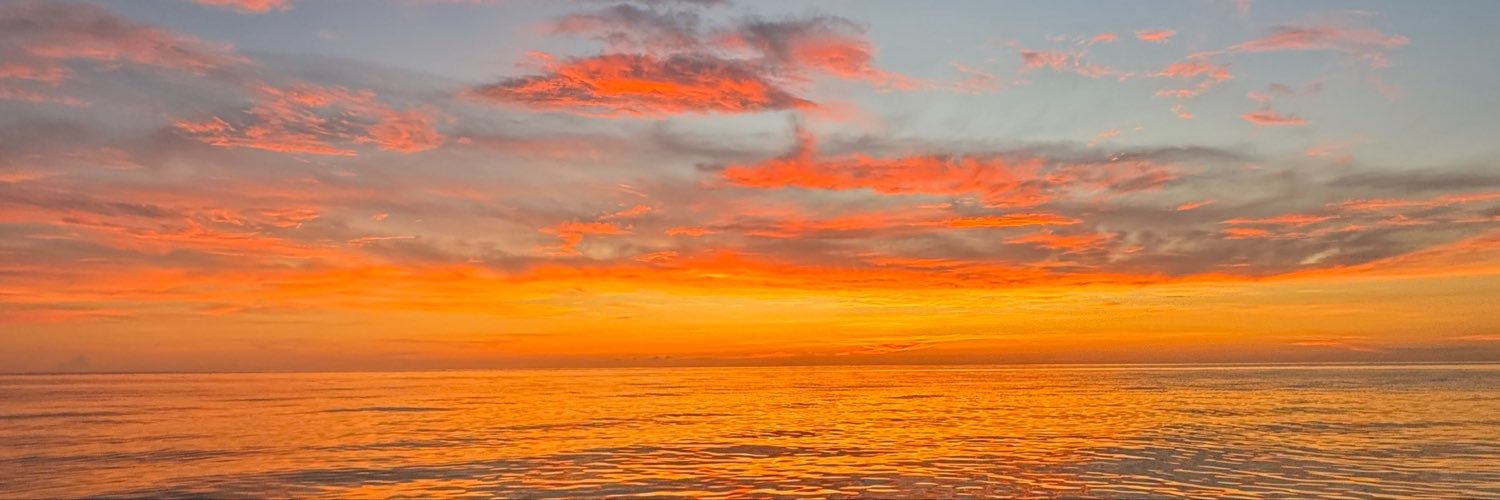AlexBeeco's profile banner image