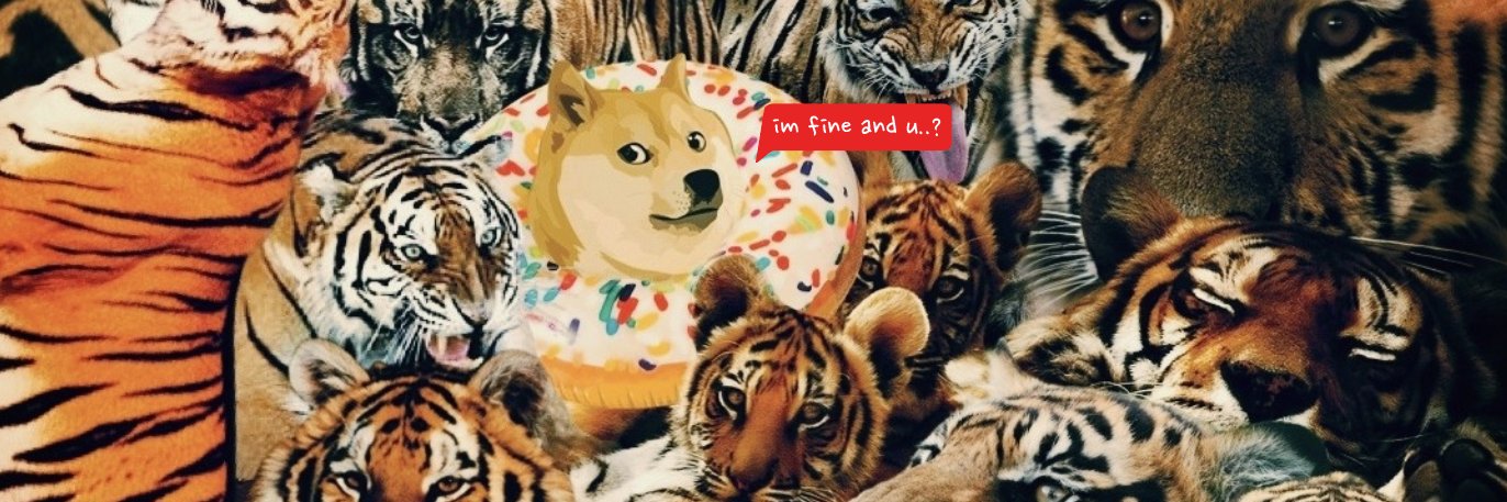 CoreanCat_lit's profile banner image