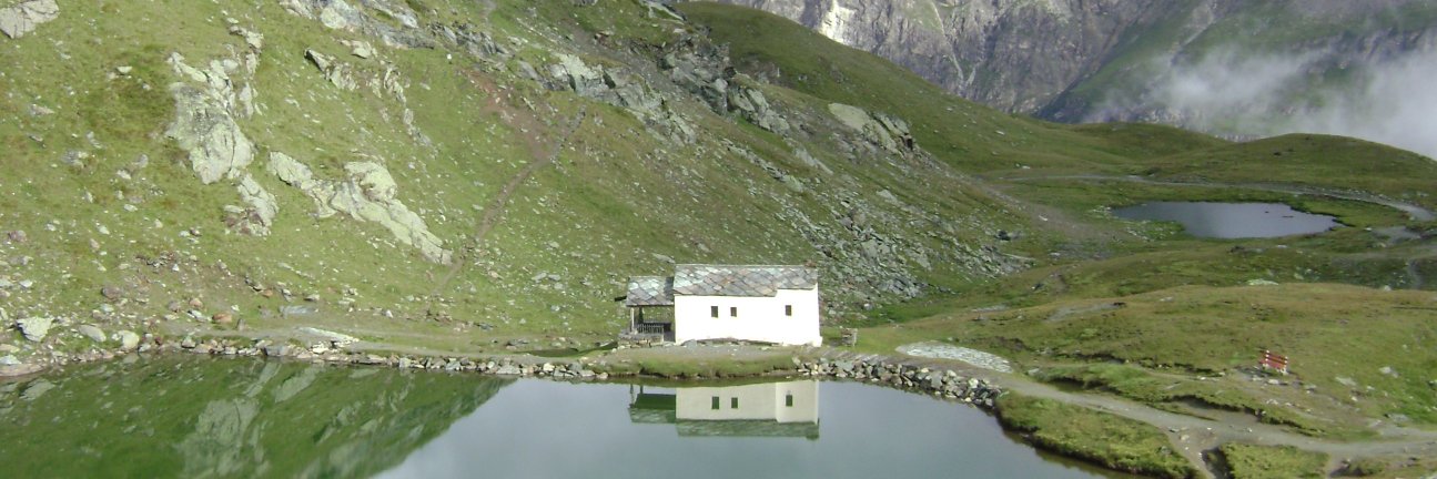 Travis Matthews banner