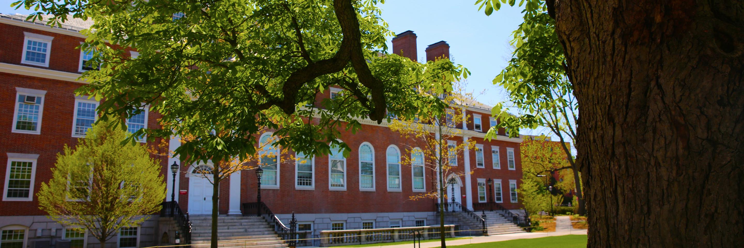Paul Reville banner