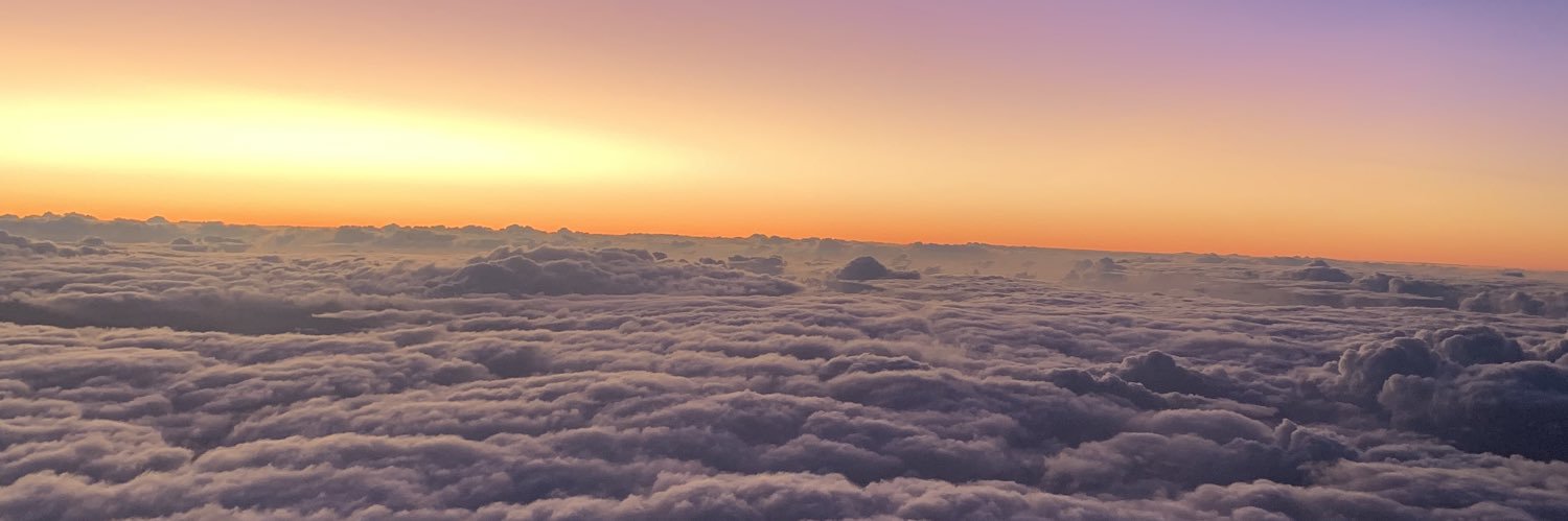 polyanna_l's profile banner image