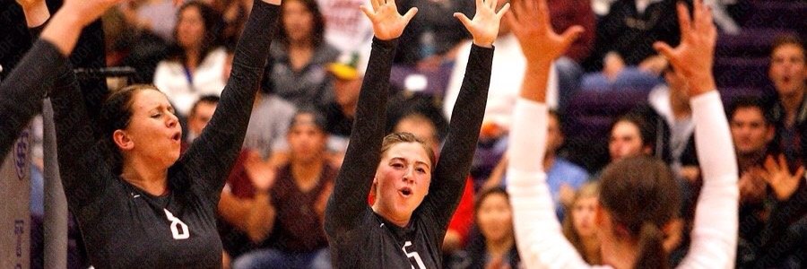 courtlemke's profile banner image
