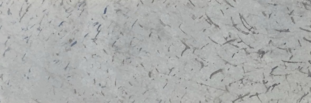nobody banner