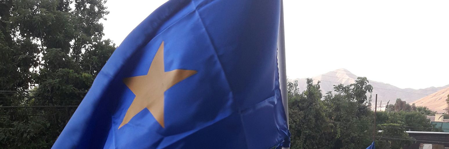 cotoravg's profile banner image