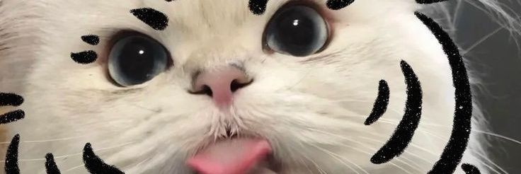 Go Luxxury_ || mt after dm (notif gk masuk) banner