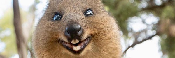 RosemaryFrazer Profile Banner