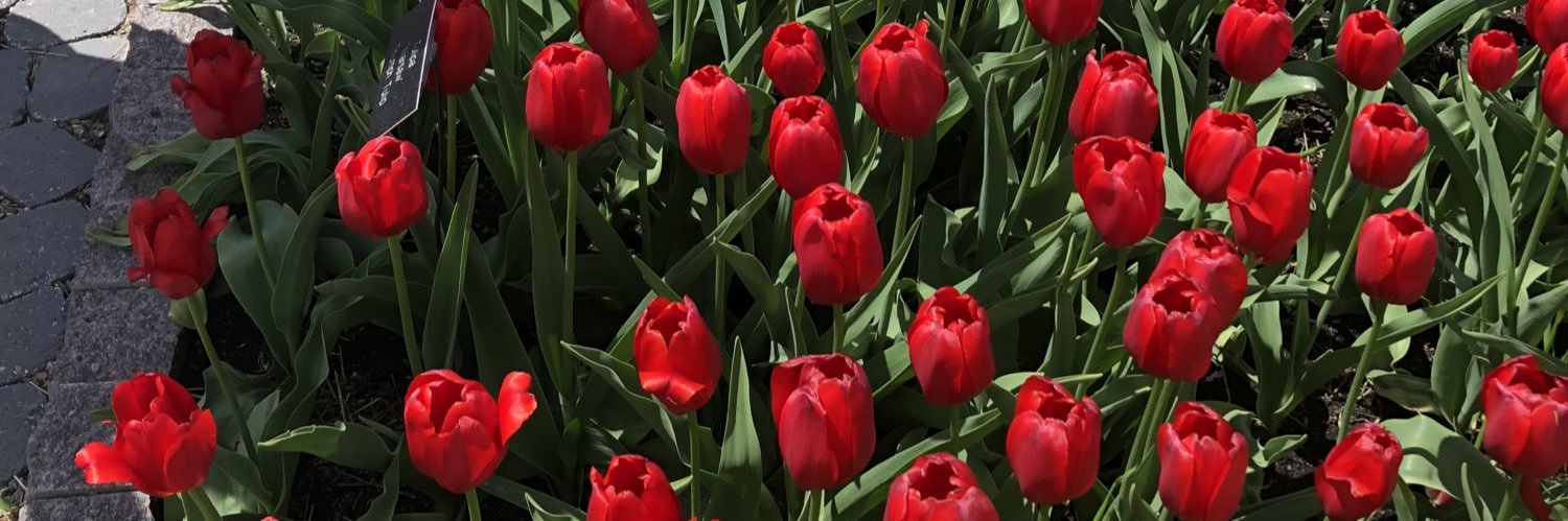 Lexie Leitner banner