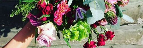 Isabella Riley banner