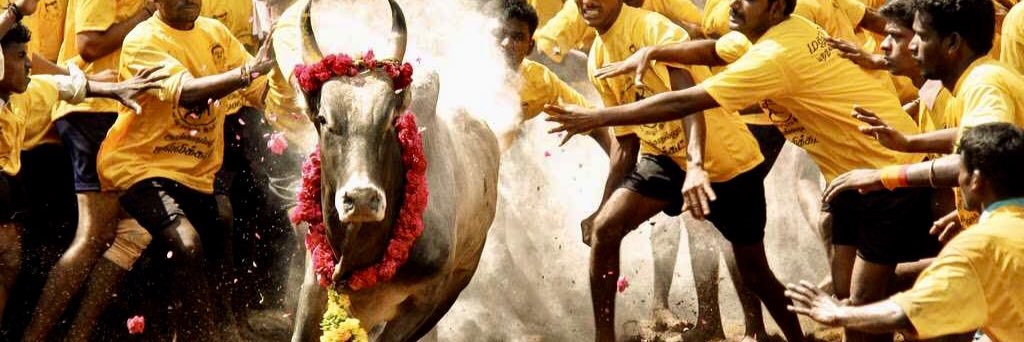 prabhu018's profile banner image