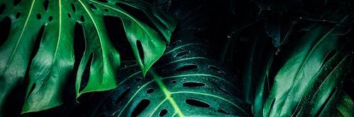 Rachel1450_'s profile banner image