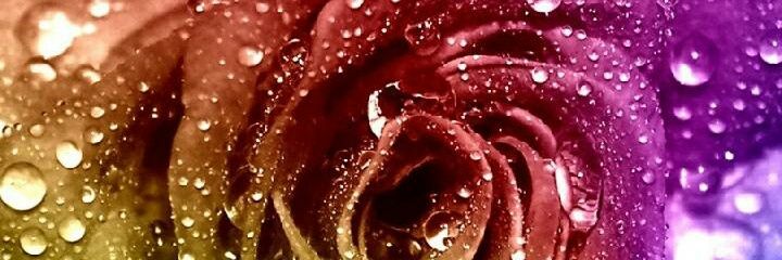 remavado's profile banner image