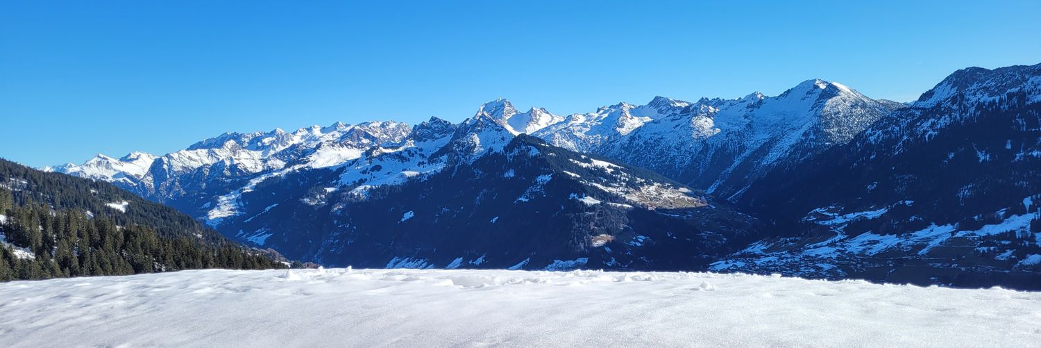 Bergschlafschaf's profile banner image