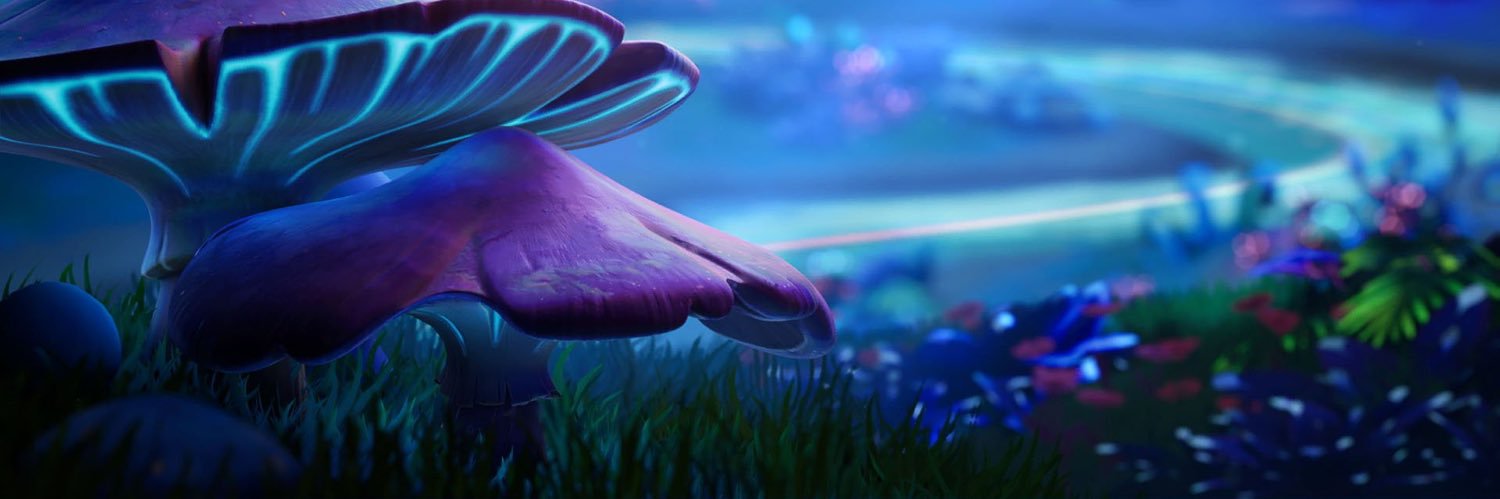 Vantage Sweeper banner