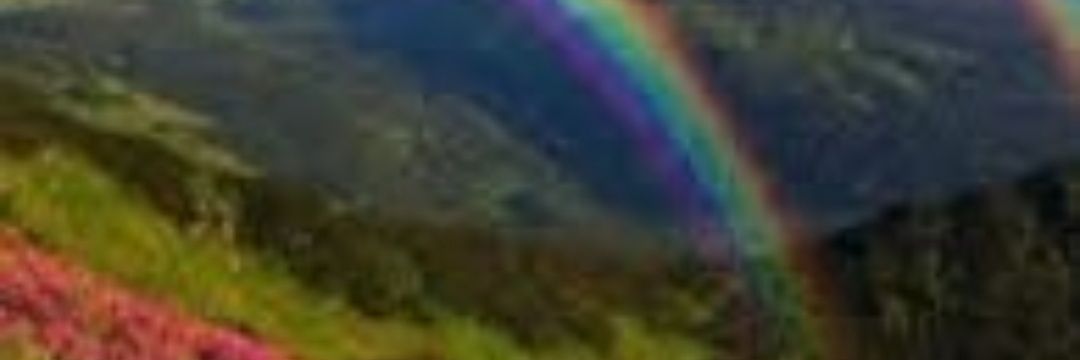 # Save the earth banner