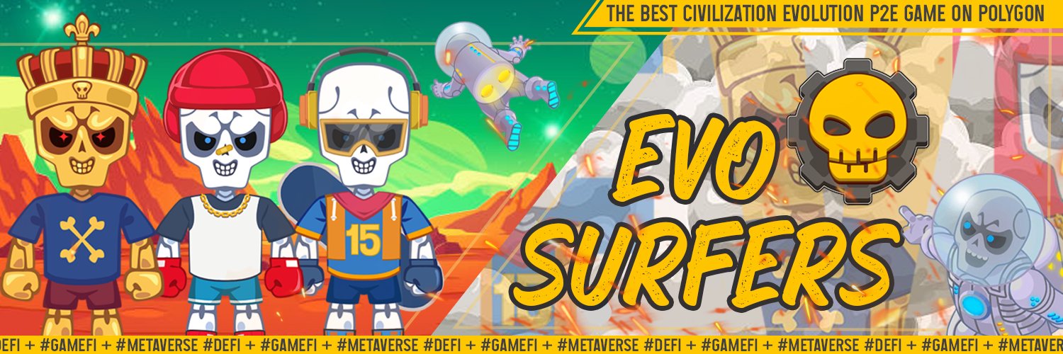 Evo Surfers banner