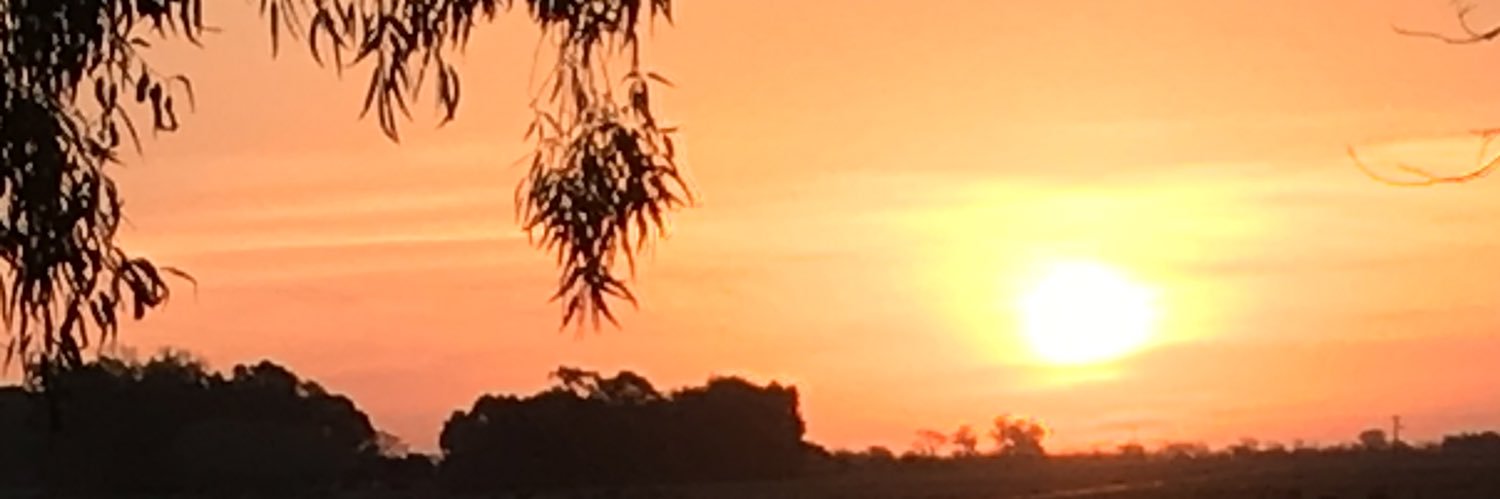LuliSpinelli2's profile banner image