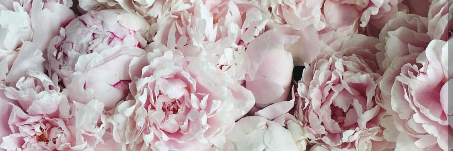 LauraRivasJ's profile banner image